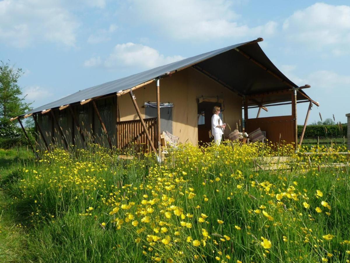Tall Trees Glamping Baltonsborough Esterno foto